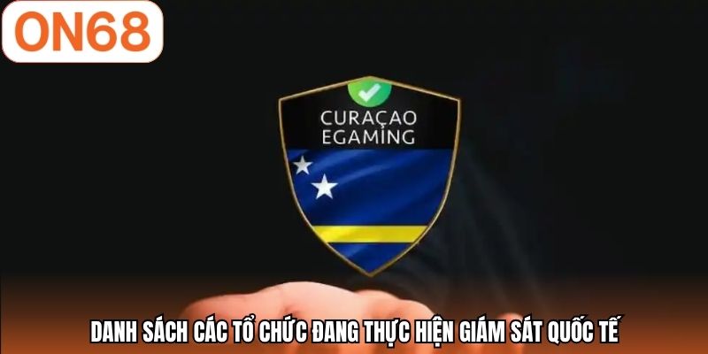 Danh sách các tổ chức đang thực hiện giám sát quốc tế